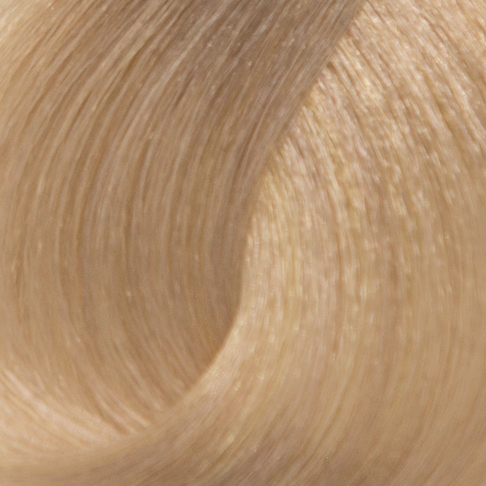 10.1 - Extra Light Ash Blonde