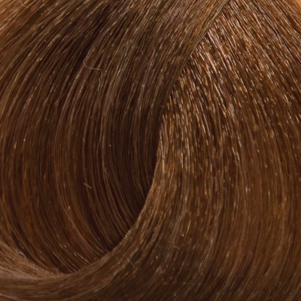 8.73 - Light Cappuccino Blonde