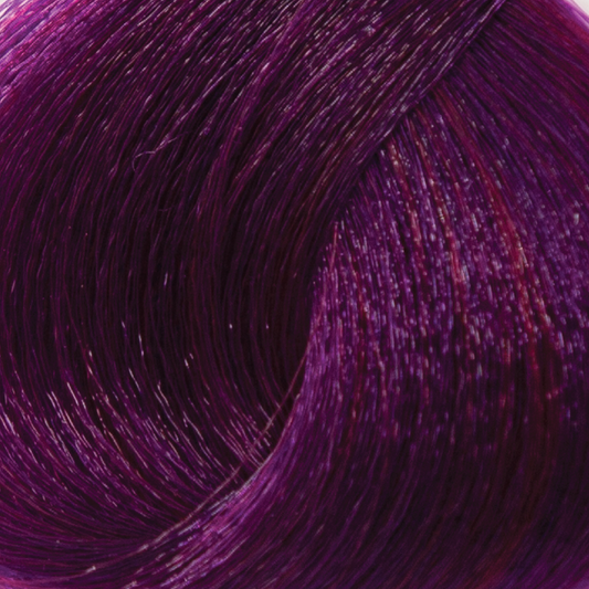 022 - Violet